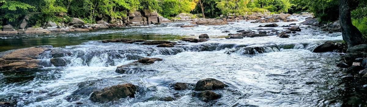 Protection des ressources en eau rivière étang lac